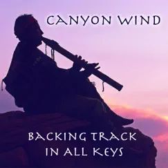 Canyon Wind - Native American Flute Backing Track In 6 Keys by Tom Bailey Backing Tracks album reviews, ratings, credits