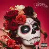 Señorita - Single album lyrics, reviews, download