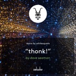 Dave Seaman - Thonk! (Whitesquare Remix)