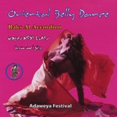 Oriental Belly Dance Raks Al Accordion artwork