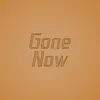 Gone Now song lyrics