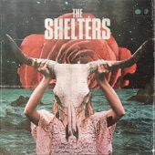 The Shelters - Birdwatching