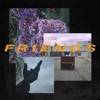 Friends - EP