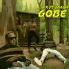 Gobe (feat. 2Baba) - Single album lyrics, reviews, download