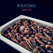 We Never Danced artwork