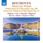 Beethoven: Music for Winds artwork