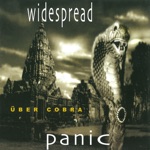 Widespread Panic - Walk On