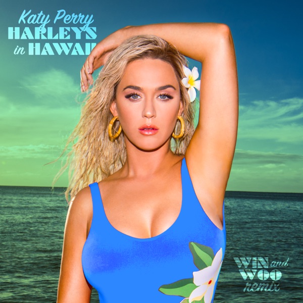 Katy Perry & Win and Woo - Harleys In Hawaii (Win and Woo Remix)