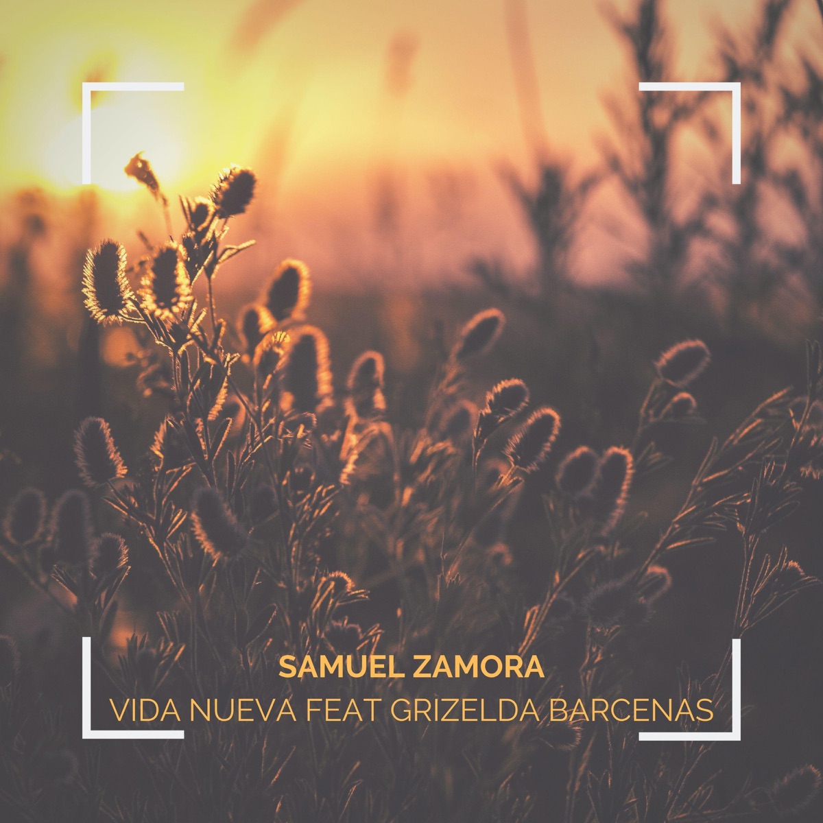 Samuel Zamora - Vida Nueva (feat. Grizelda Barcenas) - Single