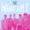 What Am I (Remixes) - EP album lyrics, reviews, download