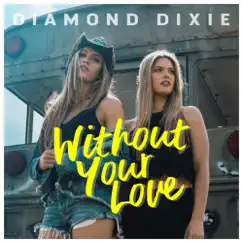 Without Your Love - Single by Diamond Dixie album reviews, ratings, credits