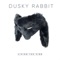 Living the Vibe - Dusky Rabbit lyrics