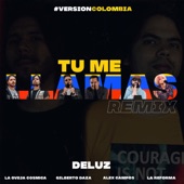 Tu Me Llamas (feat. Oveja Cosmica, Gilberto Daza, Alex Campos & La Reforma) [Remix] artwork