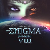 The Enigma VIII (What Once It Was) artwork