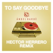 To Say Goodbye (Hector Herrero Remix) artwork
