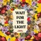 Wait for the Light artwork