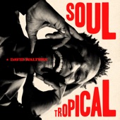 David Walters - Toxic Tropic