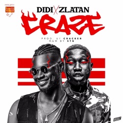 Didi, Ricardo Dias, Roberto Leal, Carlos Coincas, Pedro Mimoso, Andreia Andrade, Francisco Andrade, Amadeu Magalhaes, Antonio Pinto, Manuel Rocha, Joaquim Teles & Toca Rufar - Craze (feat. Zlatan)
