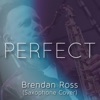 Perfect (Instrumental) - Single