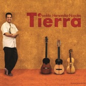 Tierra (with Karim Baggili, Patricia Hernandez Van Cauwenberge & Vardan Hovanissian) artwork