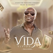 Vida Vivida artwork