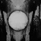 The Whole Truth - Carlos Cipa lyrics