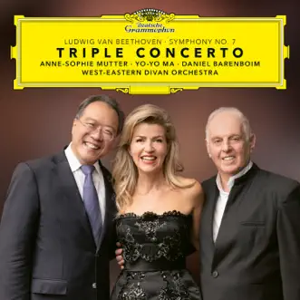 Triple Concerto in C Major, Op. 56: II. Largo - attacca (Live at Philharmonie, Berlin / 2019) by Anne-Sophie Mutter, Yo-Yo Ma, Daniel Barenboim & West-Eastern Divan Orchestra song reviws