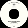 What Freedom Means / Tenderly - Single