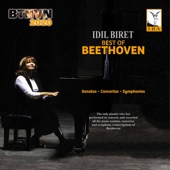 Best of Beethoven artwork