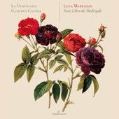 Marenzio: Madrigali á 5 voci, Libro 6 artwork