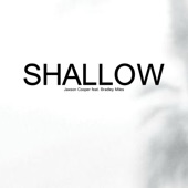 Shallow (feat. Bradley Miles) artwork