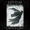 Tamam Shud - Levitas lyrics