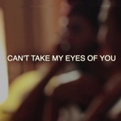 Can't Take My Eyes of You artwork