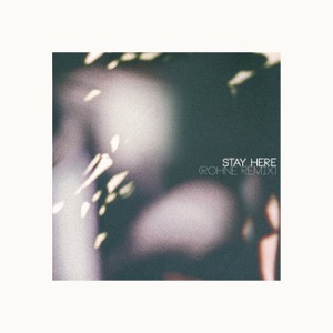 Stay Here (Rohne Remix) - Single