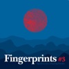Fingerprints #3, Stephane Vande Ginste, Pieter Campo & Siemen Van Gucht - Confusion part I