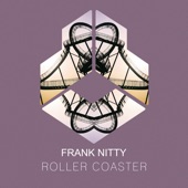Roller Coaster (Extended Mix) artwork