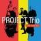 Funky Skunk - Project Trio lyrics