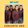 Mi Luz - Single