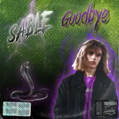 Goodbye - Single by Sable album reviews, ratings, credits