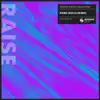 Stream & download Raise (303 Club Mix) - Single