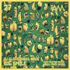 Big Smile - Single album lyrics, reviews, download