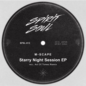 Starry Night Session (Art of Tones Remix) artwork
