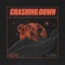 Crashing Down (feat. Prima) artwork