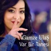 Var Bir Tanesi (feat. Hüseyin Kağıt) - Single