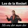 Mi-era dor mare dor - Single