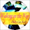 Walking on the Way - Dally Cat.XxY lyrics