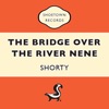The Bridge over the River Nene, 2020