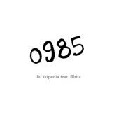 0985 (feat. 閃rits) artwork