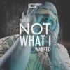 Not What I Wanted - Single