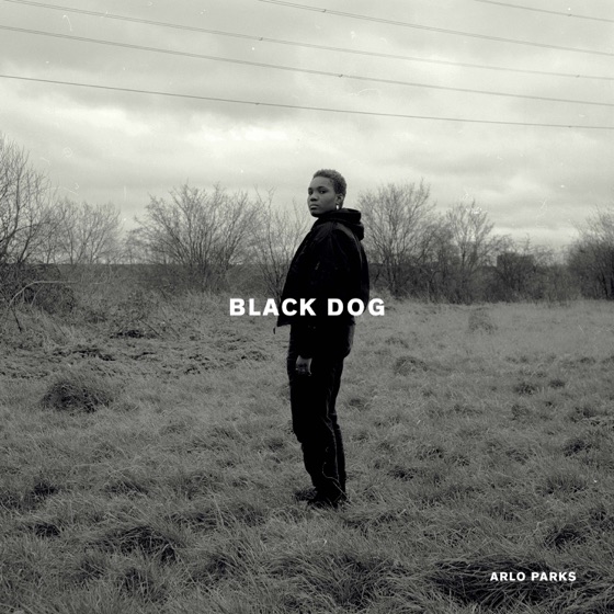 Cover artwork for Black Dog